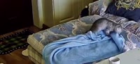 VID20250714111228370.mp4