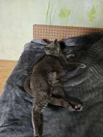 IMG20250714152039.jpg