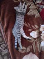 IMG-20250714-WA0004.jpg