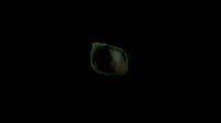 736982469.mp4