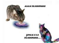 9a0ab43ba3c8d7.jpg