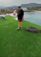VID20250713154112420.mp4