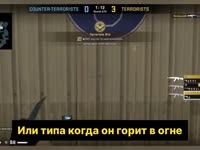 Я могу изобразить крик Тома ｜ CS2.mp4