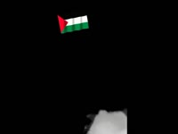 0713.mp4