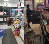 17426409110840.mp4