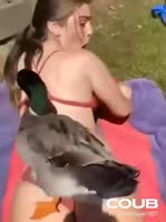 17430653585753.mp4