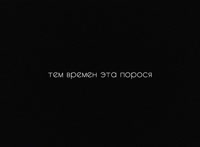 17442817461661.mp4