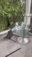 17456982953513.mp4