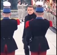 17482659725600.webm