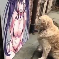 17489363651600.mp4