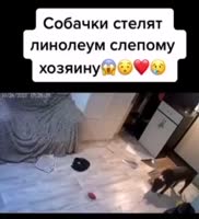 17490519364663.mp4