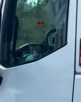837276687.mp4