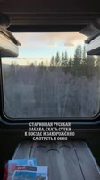 это мое любимое ♥️.mp4