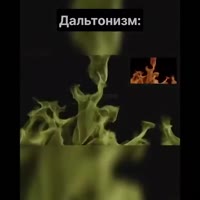 1723724296487330180.mp4