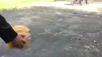 VID20250714212402278.mp4