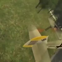 VID20250714213945879.mp4