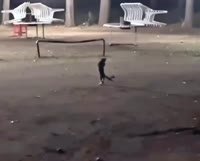VID20250714215437265.mp4