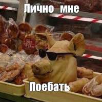 .jpg