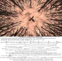 17507647823072[1].jpg
