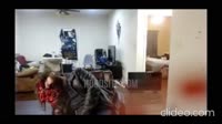 17027298972160[1].mp4