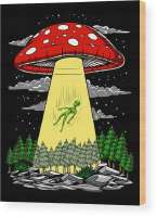 magic-mushroom-alien-abduction-nikolay-todorov.jpg