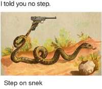 1752535405118323384118649468651.png