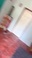котик сидит и хохочет.mp4