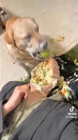 v24044gl0000d1stgcfog65g2b6pt780.mp4
