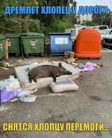 дремлет01.jpg