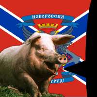 Новороссия-Novorossiya (ВР).png
