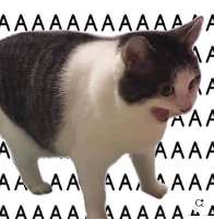 17381418828091.png