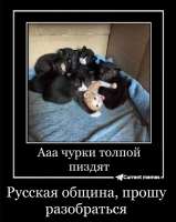 IMG20250715005917371.jpg