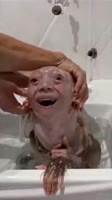 74DDCB02-9C2B-44EC-B277-C390D89F478F.mp4