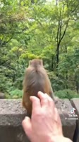 87546.mp4