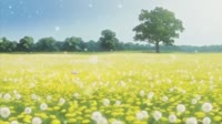 1487495714358.mp4