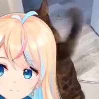 17523558779933.mp4