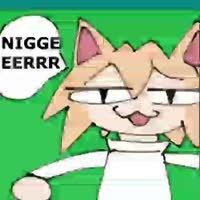 niggers.webm