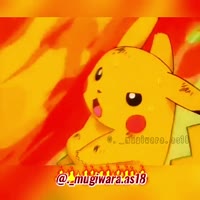 .mp4