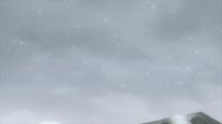 17456772058210.webm