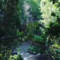 17525827131071.mp4