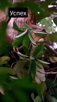 17508889614230.mp4