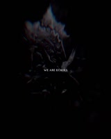 europe.webm