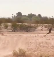 170128641728244025.mp4
