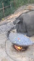 17012965761260.mp4