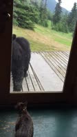 14394759961990.webm