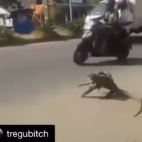 17022327607320.webm
