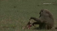 14862994840611.webm