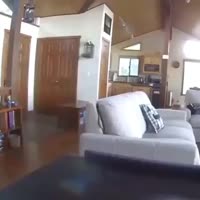 17012955166390.mp4