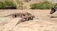16274208133610.mp4