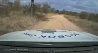 17036537080390.mp4
